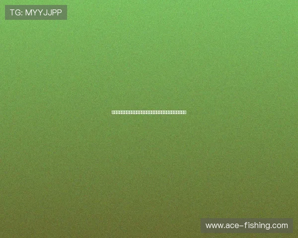 美国与土耳其世界杯经验总结：两队在国际大赛中的表现与未来展望